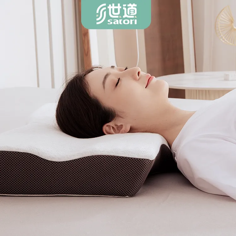 世道记忆棉枕头护颈椎助睡眠成人家用单人枕芯慢回弹睡觉专用枕芯