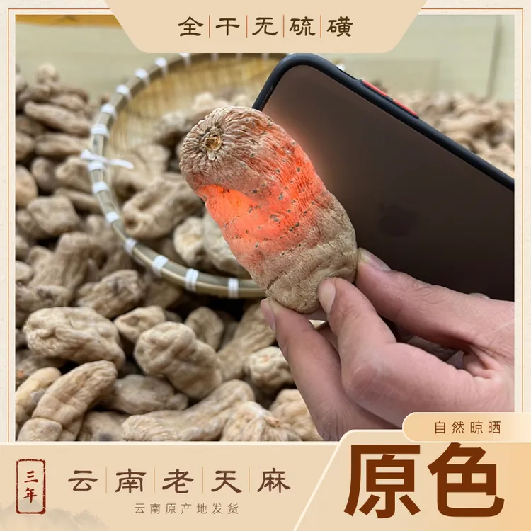 【云南老品种天麻】天麻小王子家天麻昭通小草坝天麻支持试吃