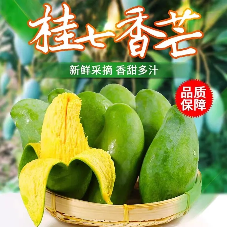 （ 百色花皮桂七）正宗广西百色田东桂七香芒5/10斤 应季果香甜浓香