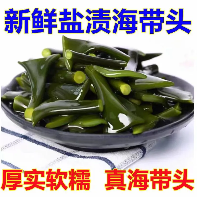 【稀有海带头根】特厚海带头厚海带根天然福建霞浦新鲜盐渍海带500g