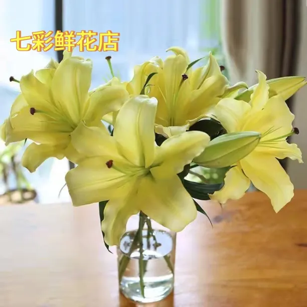 【源头优选黄百合】黄百合 皇帝 黄天霸香水百合花农场直发芳香四溢