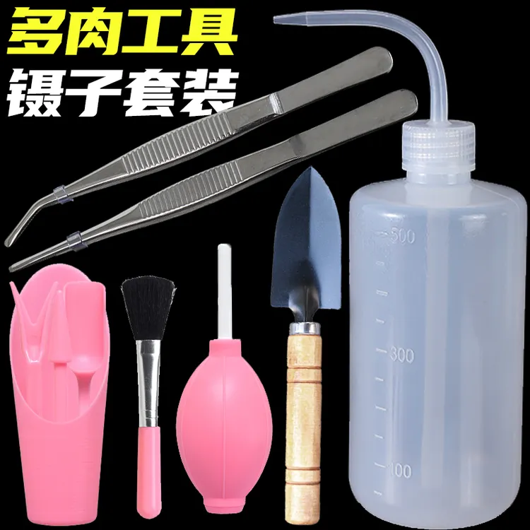 多肉工具镊子套装种植专用家庭园艺水壶铲子一整套浇水组合养花夹