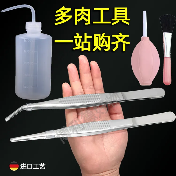 多肉工具套装不锈钢镊子多肉滴水壶气吹新手夹枯叶园艺养花三件套