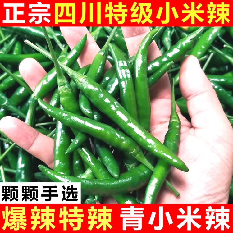 四川现摘农家菜新鲜小青椒正宗小米辣青辣椒七星椒朝天椒指天青椒