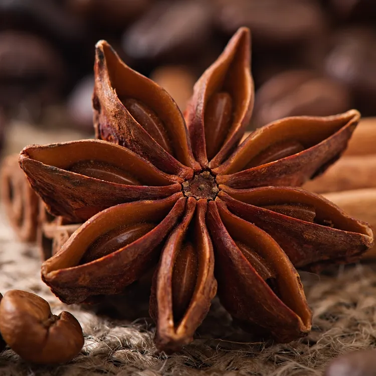 托星整八角花椒干姜