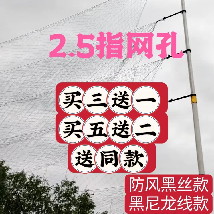 2.5指网孔尼龙线防风黑丝线防鸟网