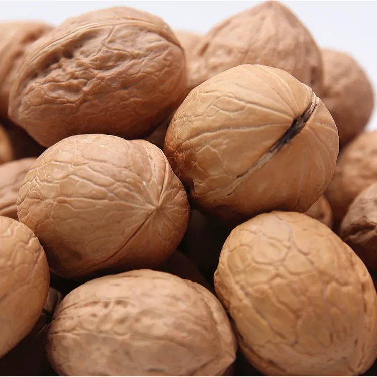 新疆干果核桃500g装