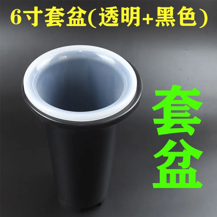 兰花盆兰花土兰花铺面土
