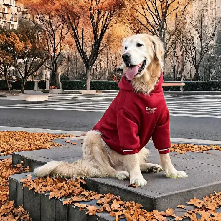 大型犬狗狗衣服秋冬款狗衣服冬季保暖卫衣金毛圣诞过年衣服狗衣服