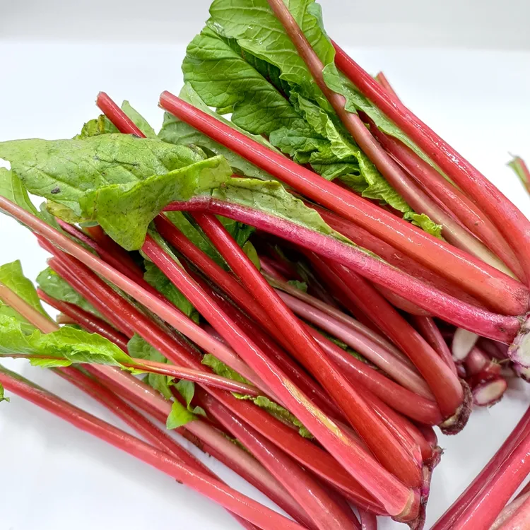 萝卜缨子农家四川泡菜腌制红皮萝卜樱农家农家新鲜蔬菜