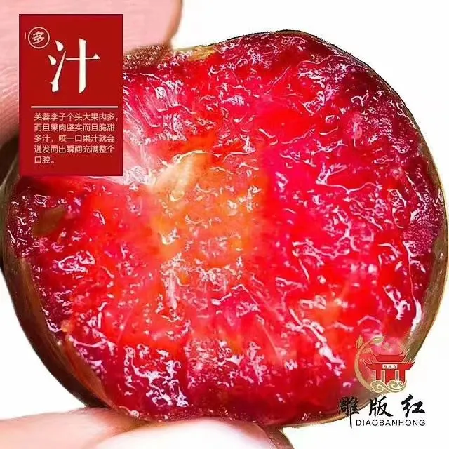 顺丰福建高山红心李子芙蓉李水果礼盒肉厚酸甜多汁新鲜采摘三华李