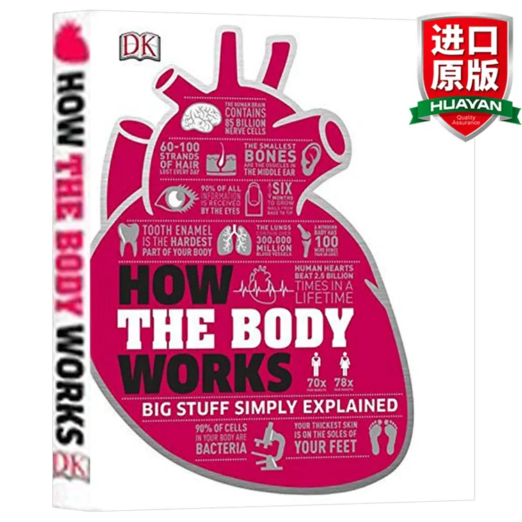 英文原版 DK人体百科全书 How the Body Works 人体是如何运作的 