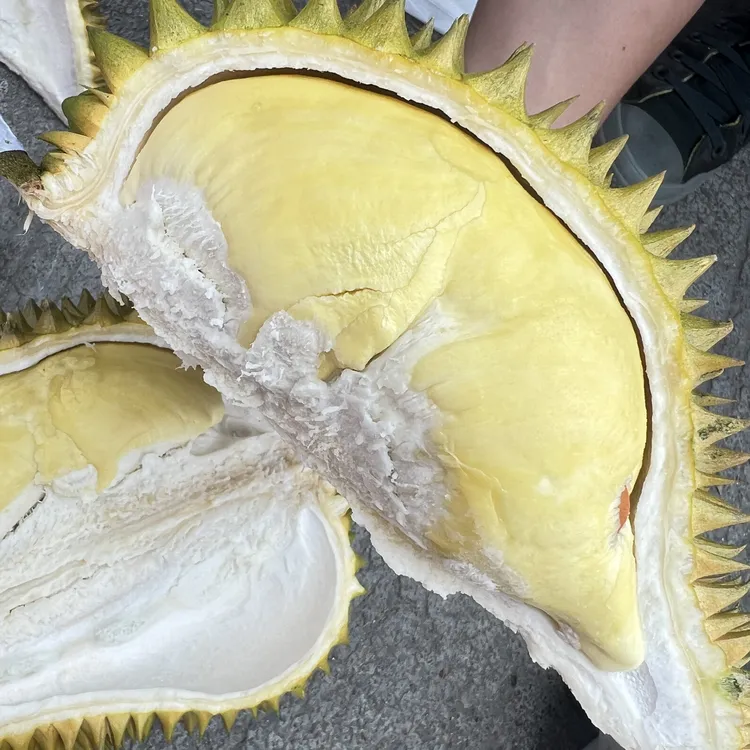 越南金枕榴莲 A级果 软糯香甜
