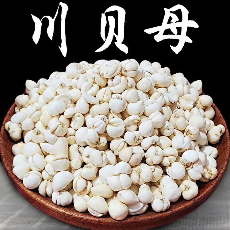 【野生】川贝母包邮现货现发野生川贝母新货无硫特级川贝母正 姜