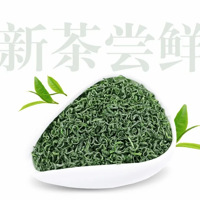 2024年新茶炒青绿茶 香足味浓高山云雾绿茶醇厚老茶客喜爱好喝