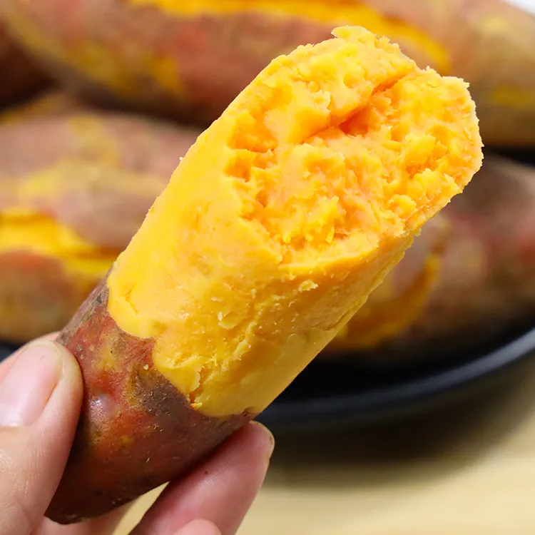 【自然搭档】河南沙地龙九黄心蜜薯3斤/5斤新鲜红薯番薯软糯香甜