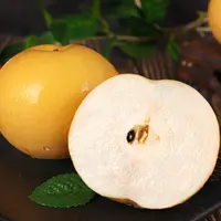 【自然搭档】山东丰水梨4.5斤新鲜当季水果梨子甜脆多汁