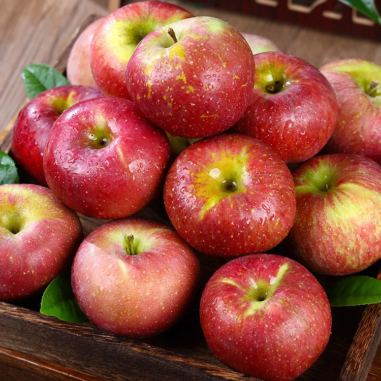 【自然搭档】四川大凉山丑苹果2-8斤装新鲜采摘脆甜苹果应季水果