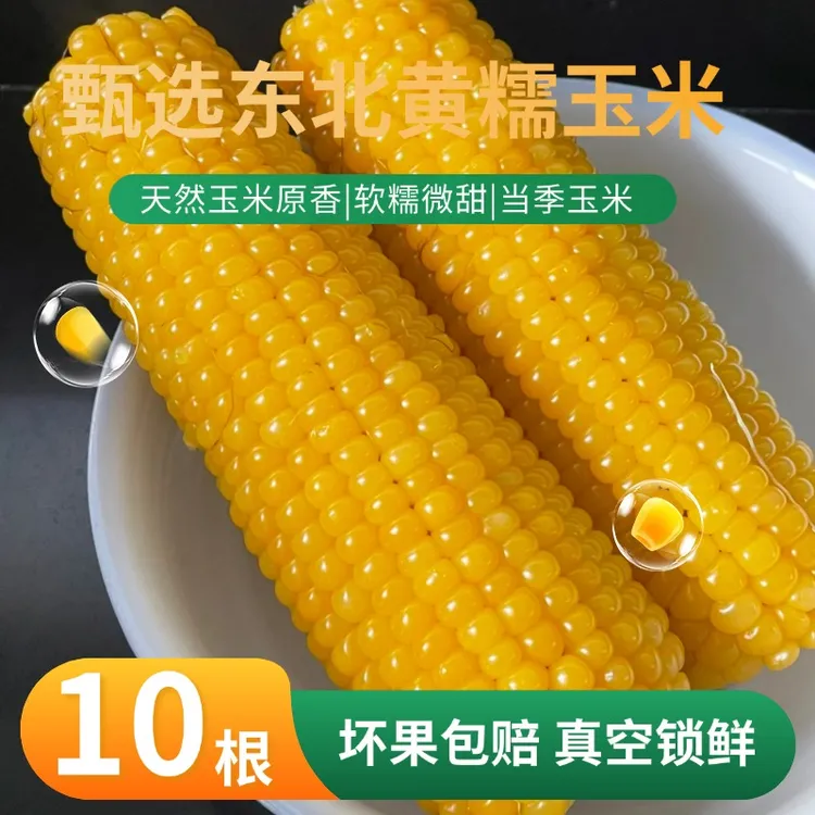 【东方推荐甄选】东北黄糯玉米10根*250g软糯早餐农家真空锁鲜玉米