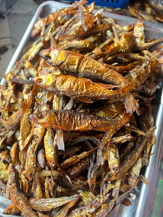 白肚拐，小马口鱼干，新鲜江鱼去内脏（江鱼）烟熏烘烤干