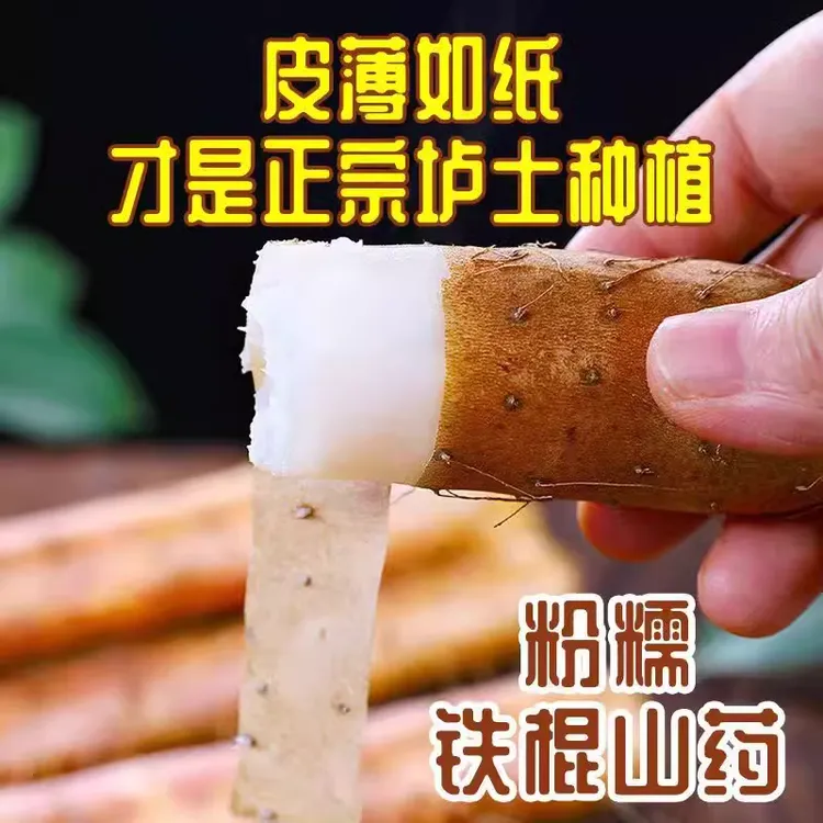 铁棍山药新鲜现挖粉糯香甜营养价值高垆土铁棍山药50-70cm