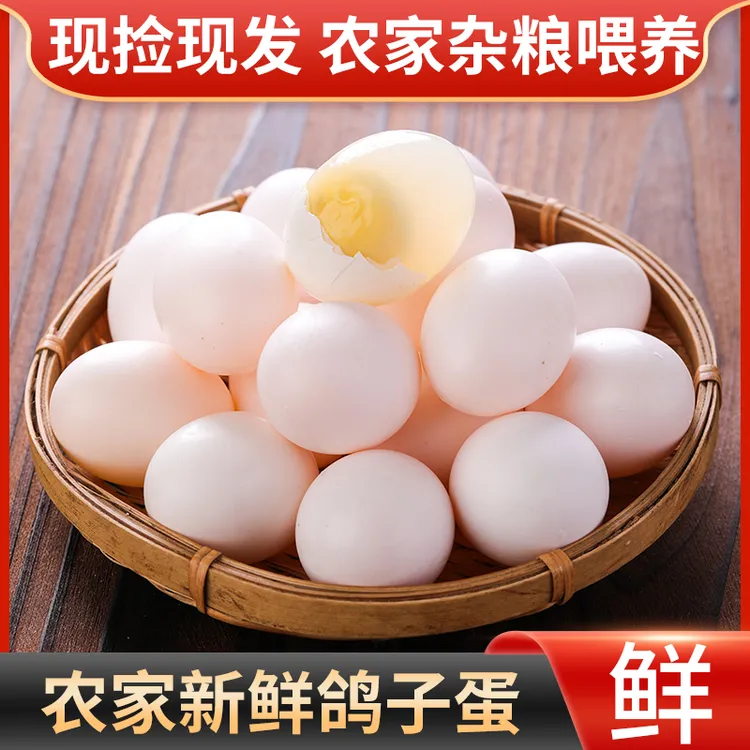 【破损包赔 】河南农家新鲜鸽子蛋30枚-50枚-60枚食用营养鸽蛋