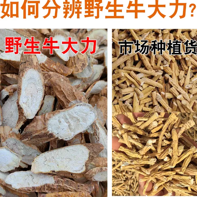 纯野生牛大力鲜品干品特级产品
