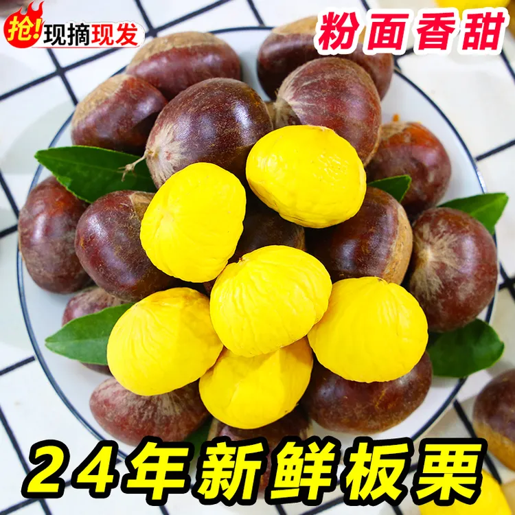 2024丹东板栗 带箱5斤净果4.5-4.8斤 鲜栗子生嫩大板粟野生鲜板栗