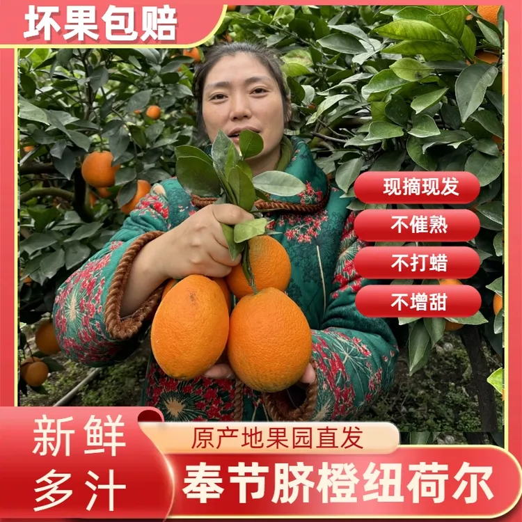 正宗奉节脐橙 纽荷尔当季新鲜水果现摘产地直发鲜甜多汁手剥榨