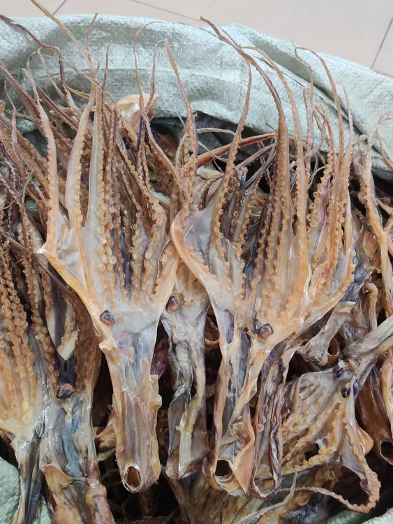 汕尾本港船晒章鱼干 八爪鱼干  纯淡干很香 有嚼劲