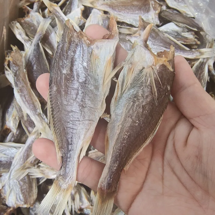 广东汕尾本港去头划鱼干 纯日晒  微咸口感刚好