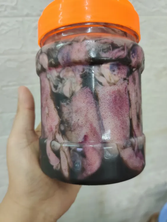 汕尾船腌咸鱿鱼  有春(籽)  1瓶2斤