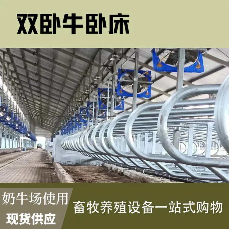 单卧床双卧床奶牛场设备热镀锌对头牛卧床养牛设备单双卧床牛卧栏