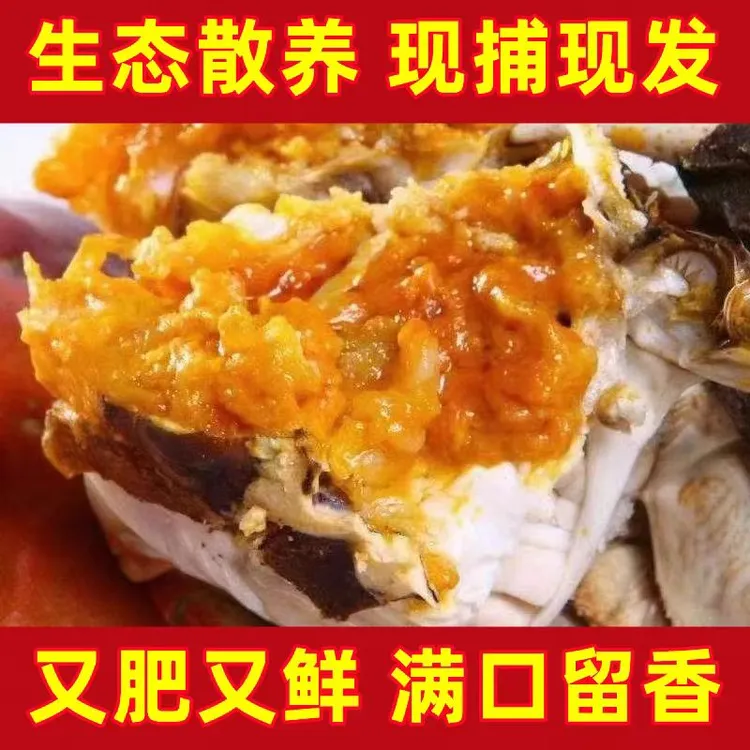 【活蟹】盘锦河蟹0.8～1两 3斤约30只母蟹原产地直发。全国冷链发货