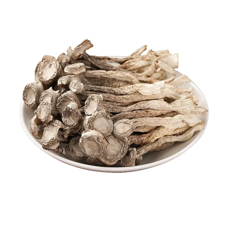 高山农家鹿茸菇免泡爽脆鹿茸菇老少皆宜干锅烫火锅爆炒刷火锅食材