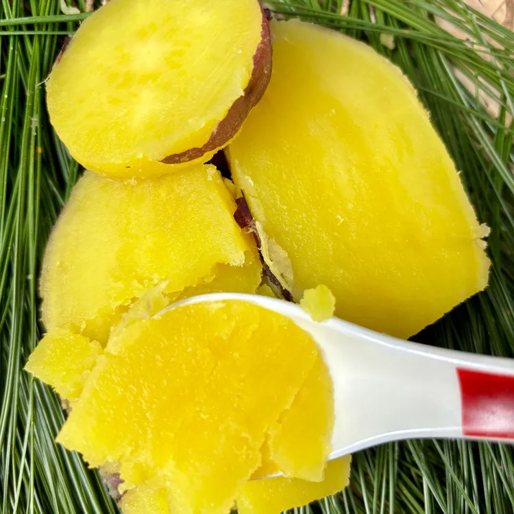 云南高原【鸣门金时】正宗榴莲蜜薯香甜软糯烤红薯蒸煮烤香甜红薯