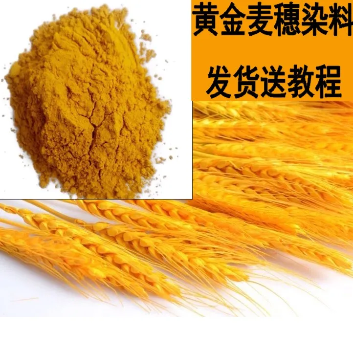DIY大小麦干花染色剂黄金麦穗碱性嫩黄染料工艺品木头狗尾草水性
