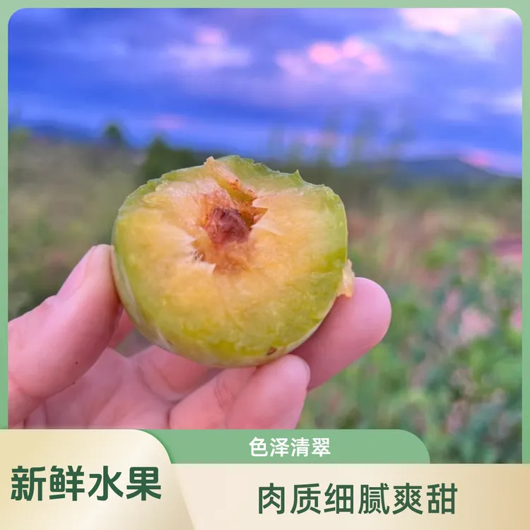 湖南道州农家土奈李应季新鲜水果肉质细腻爽甜现摘现发