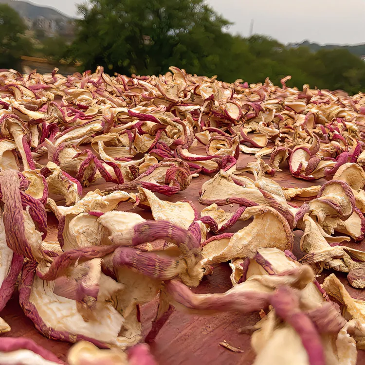湖南食用农产品湖南把截萝卜雪萝卜脆甜爽口无布筋250g起香脆咸菜