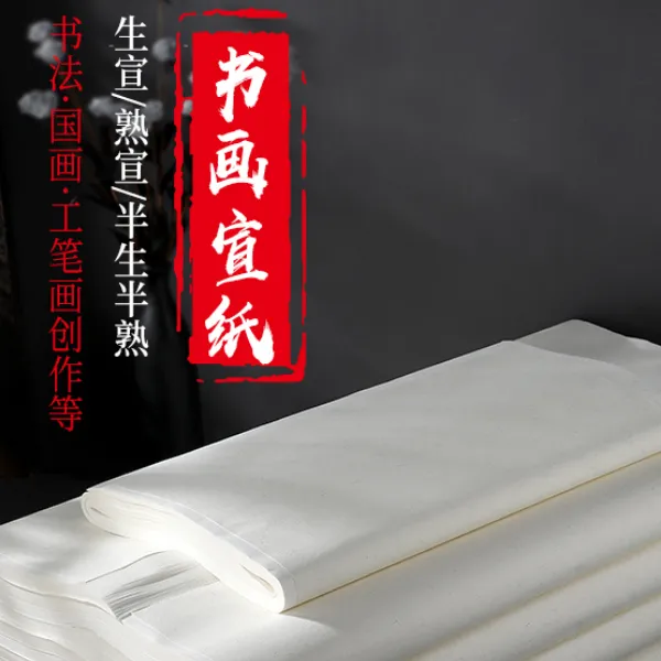 宣纸生宣半生半熟书法用纸作品纸国画工笔画初学者练习用纸