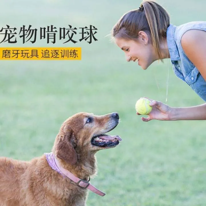 狗狗玩具球边牧柯基金毛逗狗遛狗训犬专用耐咬磨牙小狗宠物狗网球