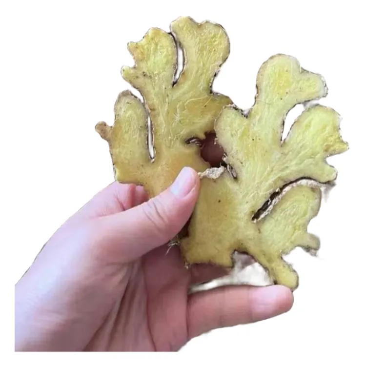 云南小黄姜生姜老姜