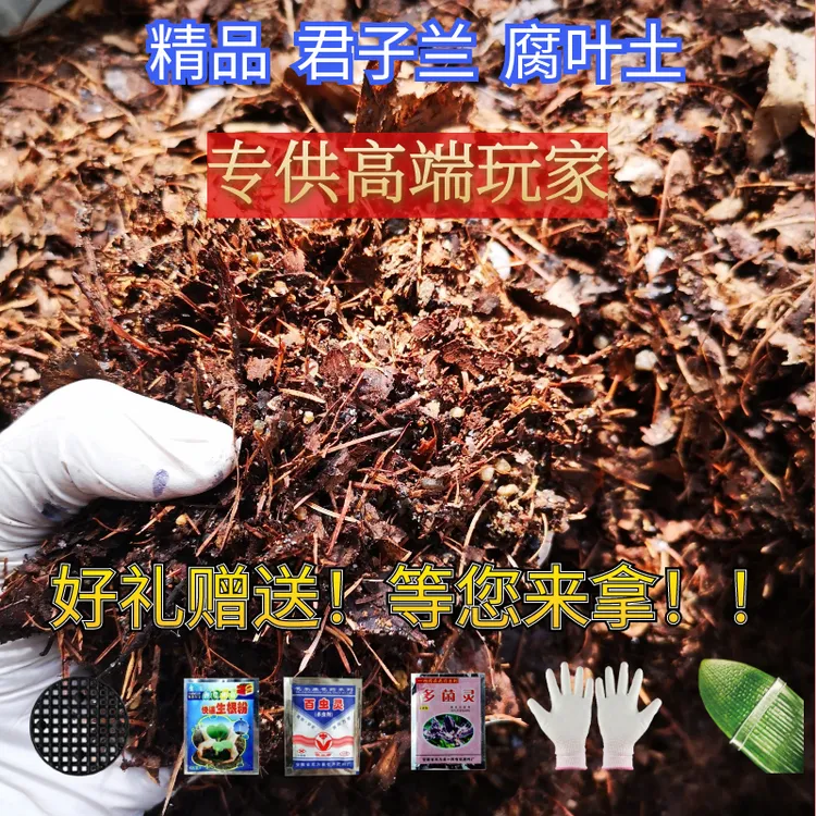 君子兰专用土腐叶土有机营养土土橡树叶腐熟树叶精品