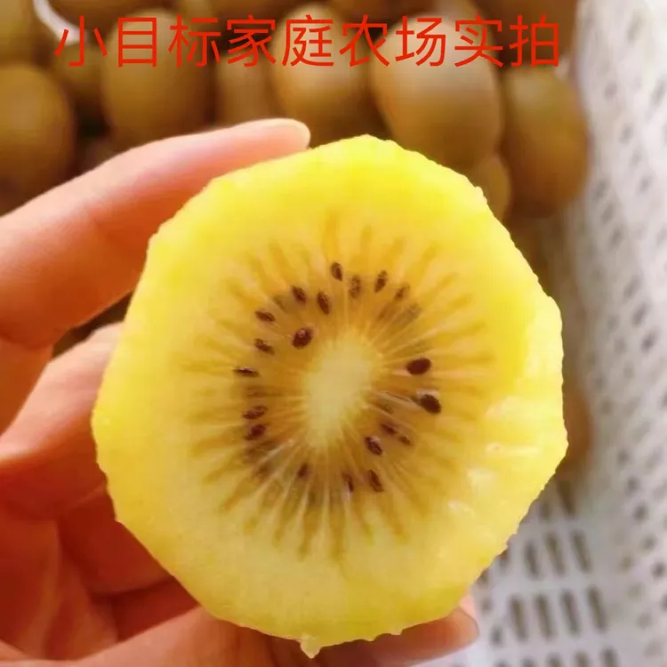 黔沛奇异果15个装小果单果80克以下