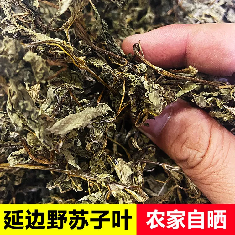 【延边特产】正宗野苏子叶干朝鲜族延城干货肉酱鱼汤用调料东北干菜