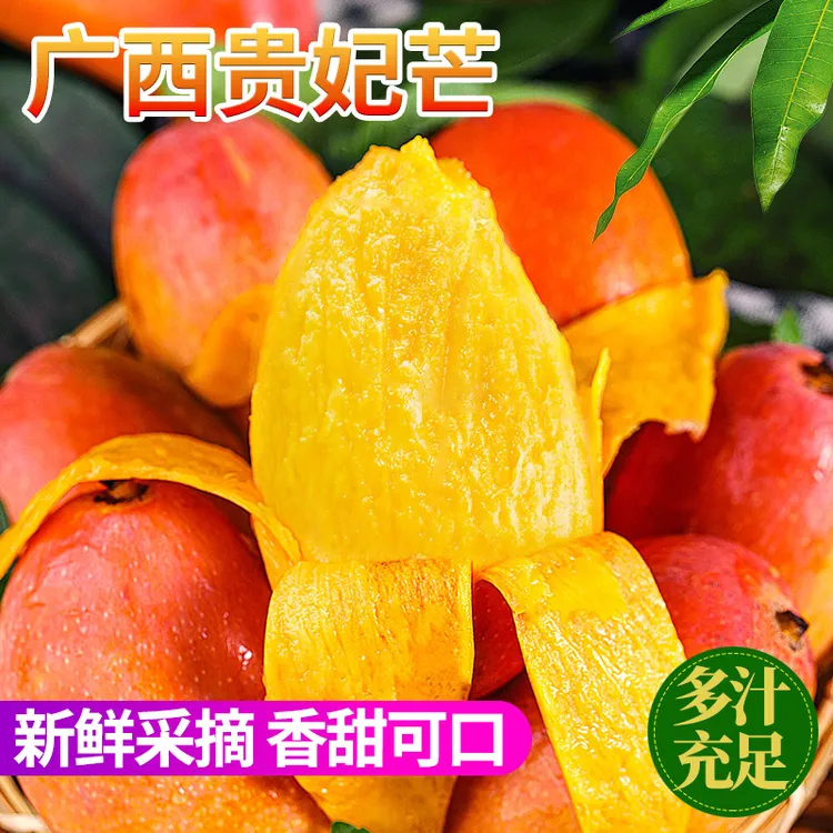 新鲜贵妃芒果9斤热带水果香甜可口5斤3斤【催熟食用 香甜多汁】