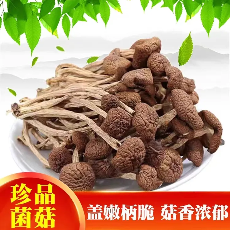 茶树菇 农家新鲜食用菌干货 今年新货散装菌菇美味江西广昌茶树菇