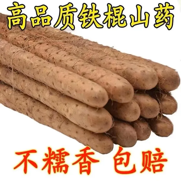 河北蠡县山药种植基地老农民现挖现发货软糯香甜新鲜整箱包邮