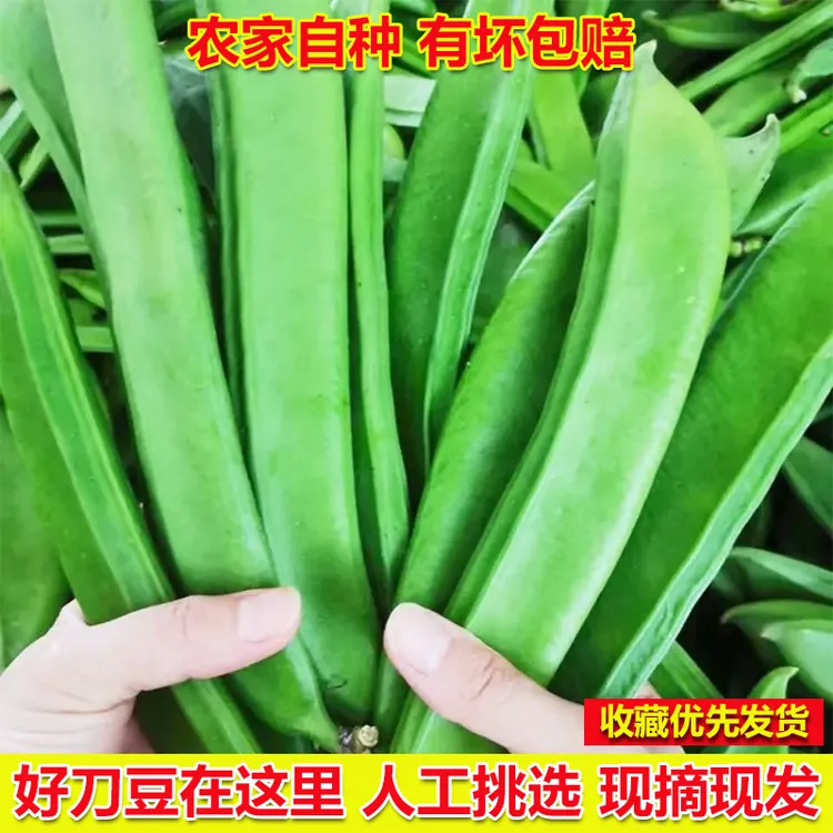 新鲜刀豆精选农家自种蔬菜嫩刀豆江西当季时令菜大豆刀剁椒原料