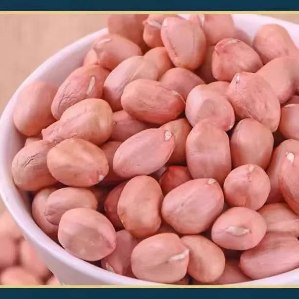 河南贝贝家自种5斤大颗粒饱满花生米